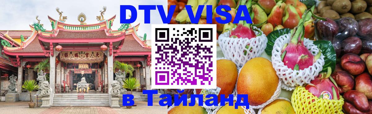 Оформление DTV визы под ключ: стоимость и тарифы, только загранпаспорт - 